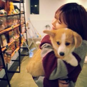 细数喜欢狗狗的女生的7个好处