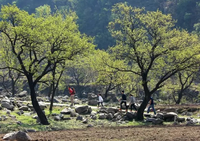 易县云蒙山皇家森林公园附近爬山,易县周边适合带孩子爬山的地方