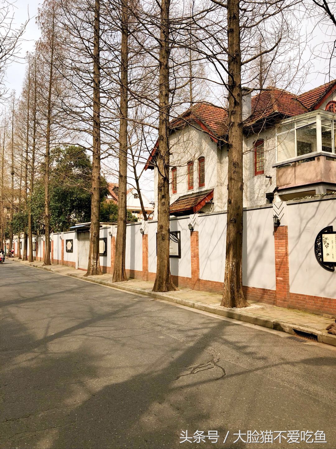 上海都市频道我和春天有个约会,与春天来个最美的约会