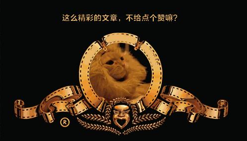 泰迪发情多久后可以判断是否怀孕,家有泰迪快9个月了发情怎样护理