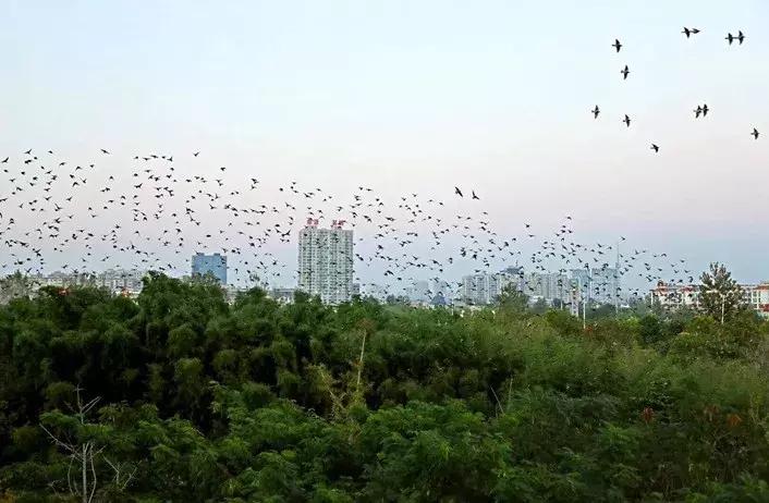 滨海，向全世界发出邀请！