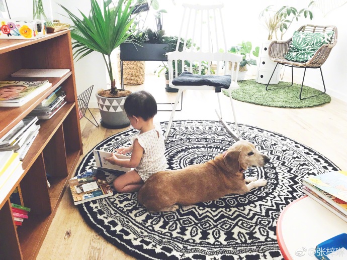 萌娃拍照怎么拍出高级感,拍摄萌娃技巧有哪些