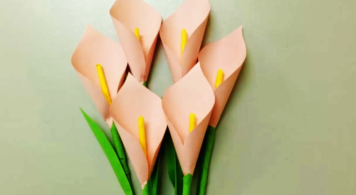 怎么让马蹄莲快速盛开,用简单的方法做一枝会开的莲花