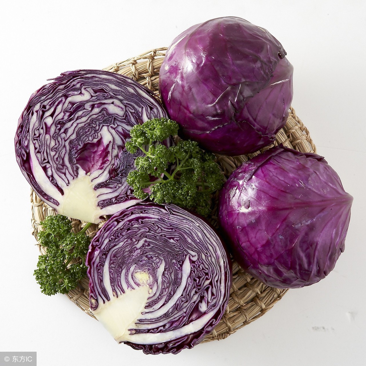 陆龟为什么吃粗纤维,陆龟可以吃的蔬菜