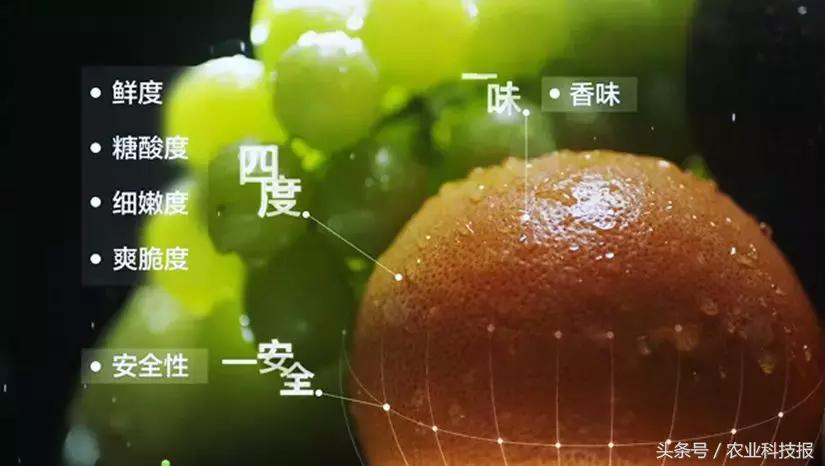 生鲜次品如何销售,次品怎么在淘宝网上卖