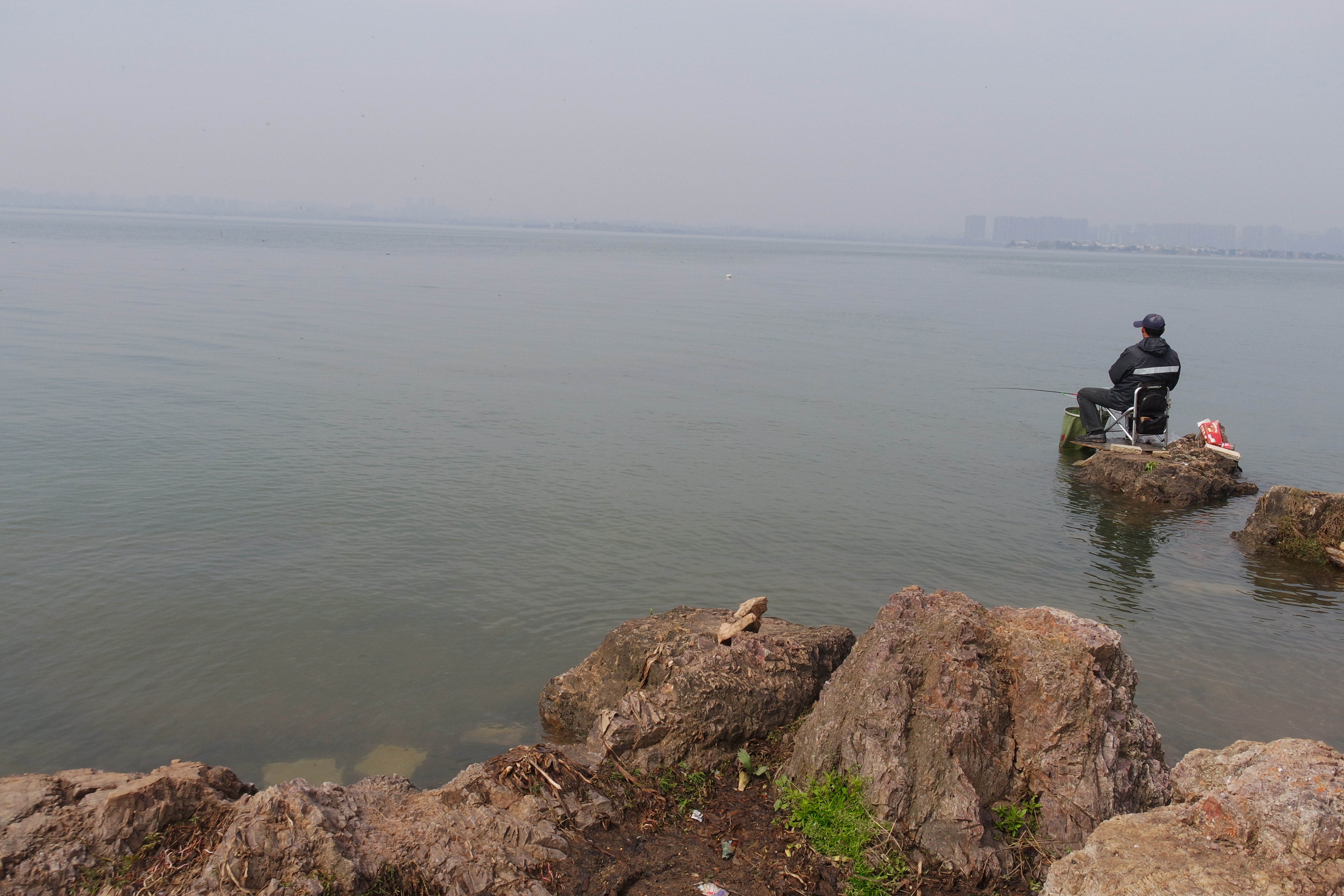 武昌理工学院的樱花,武昌理工学院回忆