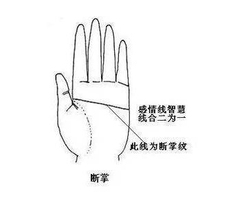 双手是断掌的人是什么命,双手断掌的面相解析