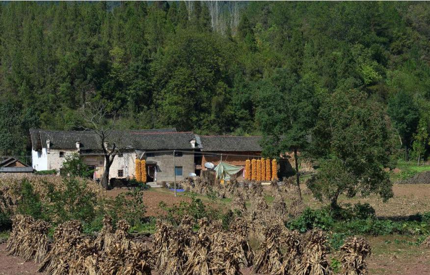 你的粉丝都是真爱粉吗,粉丝重要还是粉丝质量重要