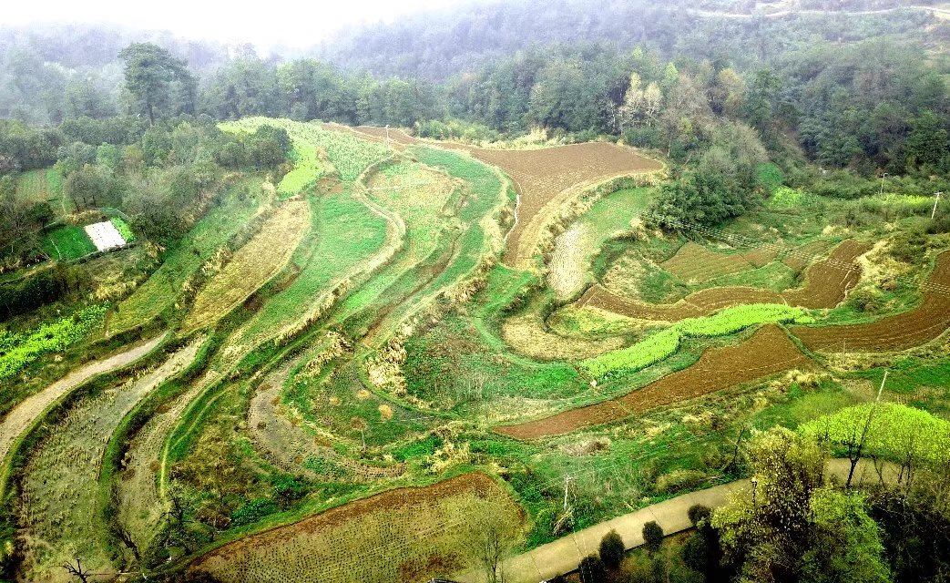你的粉丝都是真爱粉吗,粉丝重要还是粉丝质量重要