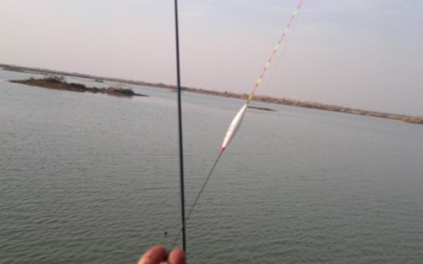 为什么鲤鱼一直跳也钓不上来,鲤鱼只吃窝料不吃钩的原因