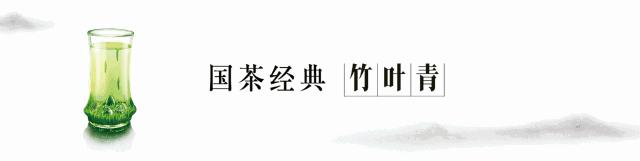 四季春茶的正确冲泡方法,春茶冲泡常识大全