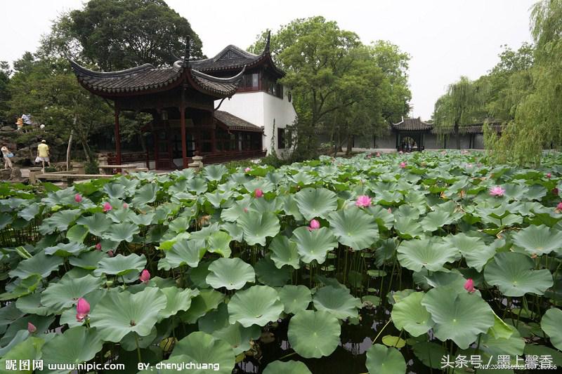 怡人的风景美景,湖南怡人园林
