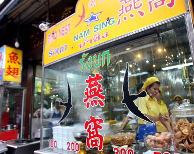 出国避坑的旅游攻略,出国中介代办在职流水有什么坑