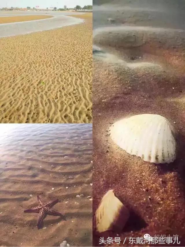 东戴河浴场地图,东戴河6大浴场