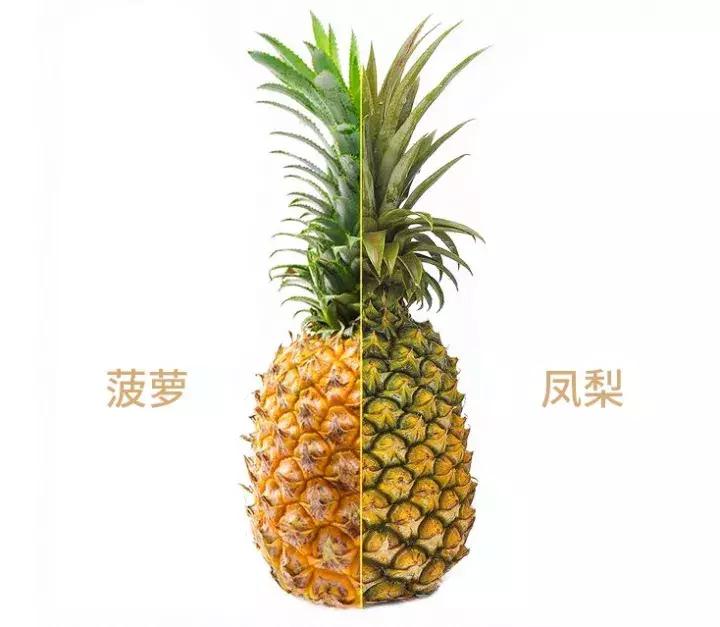 茶浪嘿古法奶茶,茶浪