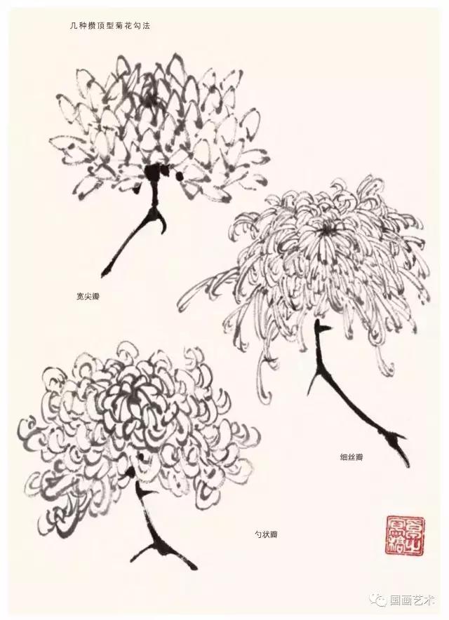 名家画菊花国画视频,名家国画花鸟视频教学菊花