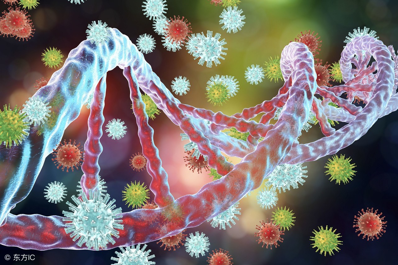 hpv515268阳性可以怀孕吗,hpv5258阳性可以怀孕吗