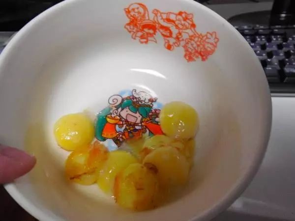 养宠物龟下蛋怎么处理好,母龟下蛋后怎么处理蛋