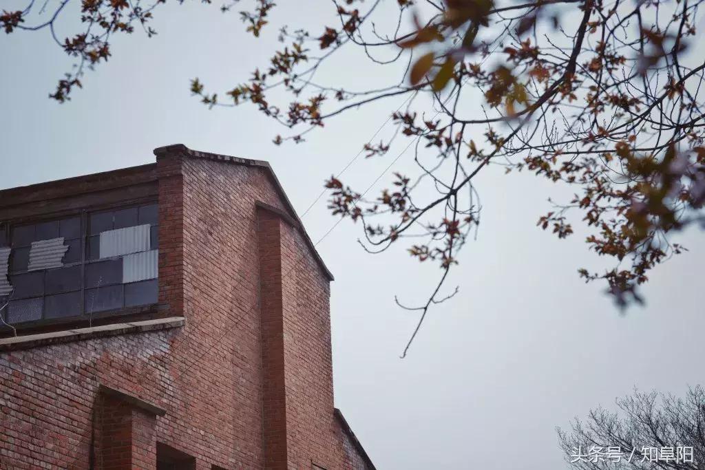 阜阳老庙纺织厂,阜阳针织厂的现状