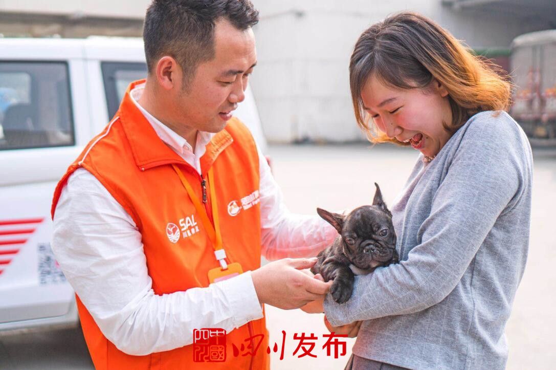 川航宠物机票,川航宠物托运怎么预订