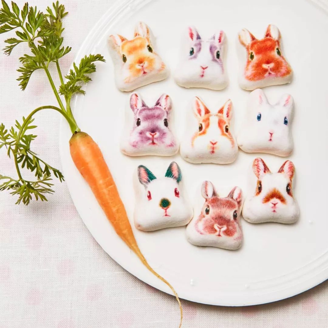 放开我的钱包啊！令猫奴闻风丧胆的种草大会！