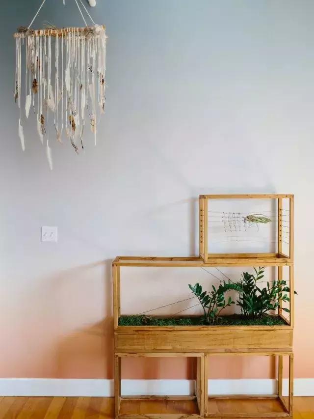 最新神级壁纸,最新发现的多种多样的膨胀壁纸