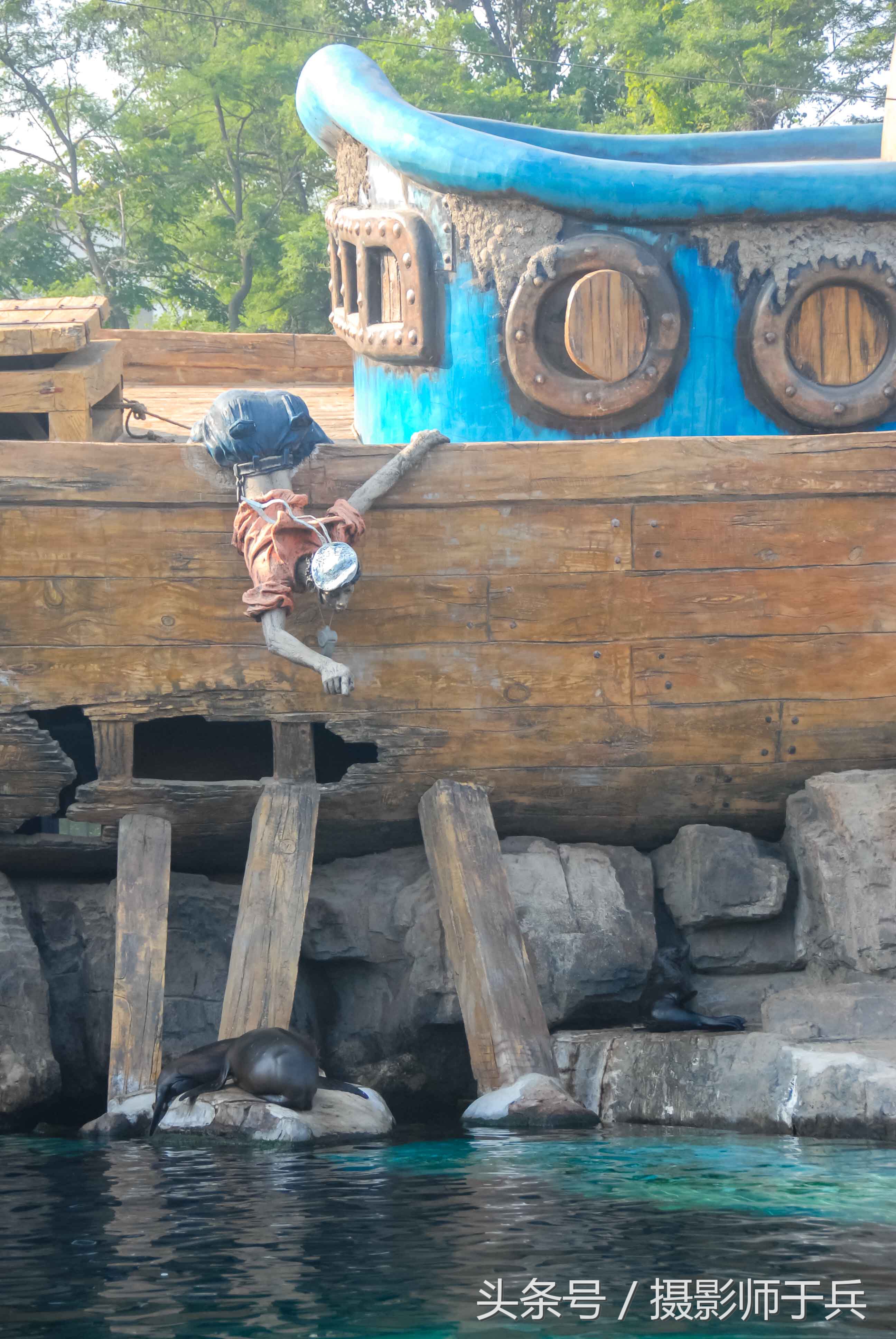 大连海洋主题公园在哪里,大连最著名的老虎滩海洋公园