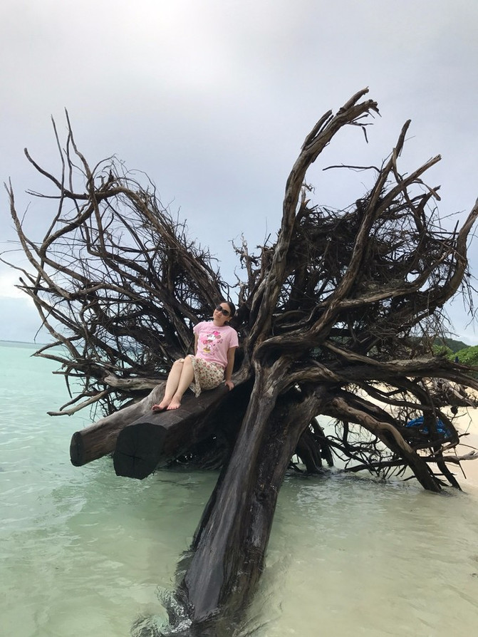 太平洋上的美丽岛屿,太平洋绝美海岛