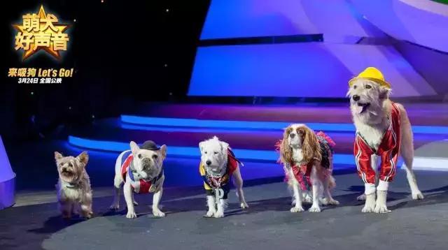 确认过的眼神是我想宠的人,确认过眼神是我想撩的灵魂