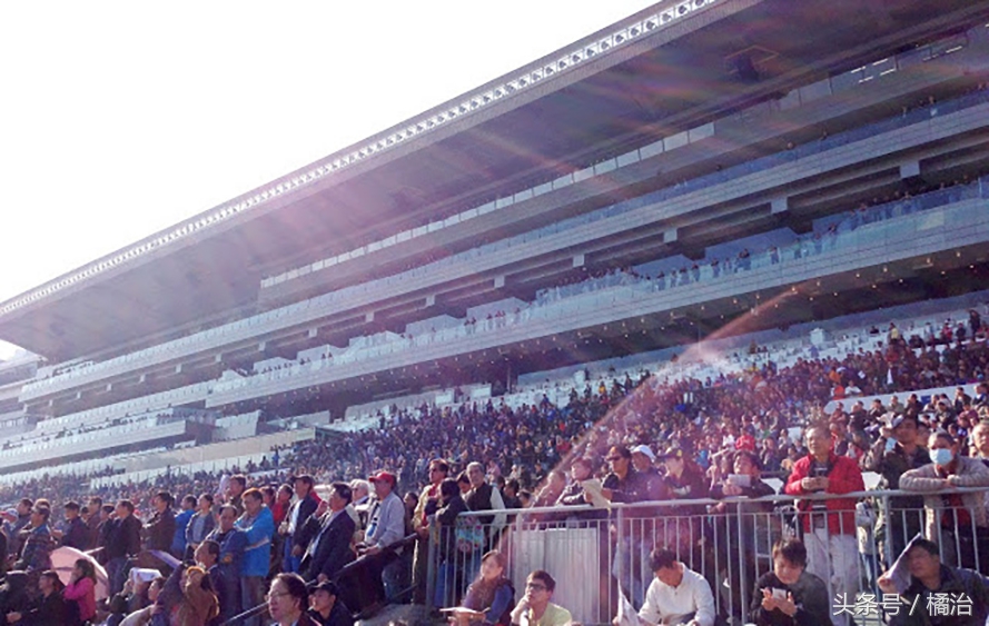 去香港赛马场，买张马票看马儿热血冲刺，超酷！（内含详细攻略）