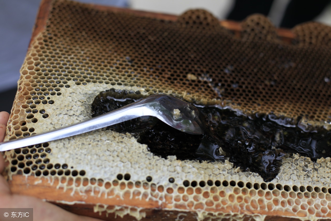 假蜂蜜真蜂蜜,原生蜂巢蜜是真的蜂蜜吗