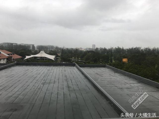 悠哉的沙巴行空气清新重要的是接机仅需1元