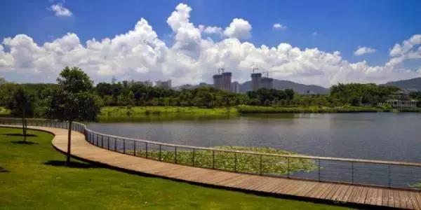 深圳仙湖植物园清明踏青赏花,深圳2022清明能去旅游吗