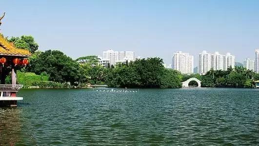 深圳仙湖植物园清明踏青赏花,深圳2022清明能去旅游吗