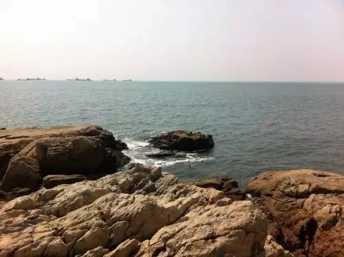 深圳仙湖植物园清明踏青赏花,深圳2022清明能去旅游吗