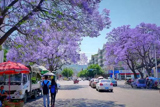 如果一定要不负*光春**不负花，选这2个地方就够了