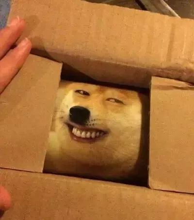 「爆笑」看到这些雷人的快递包装，内心瞬间崩溃了！