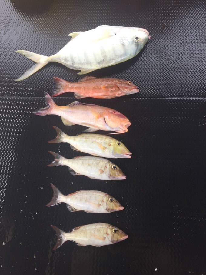 宝贝喜欢小金鱼,宝贝喜欢玩水