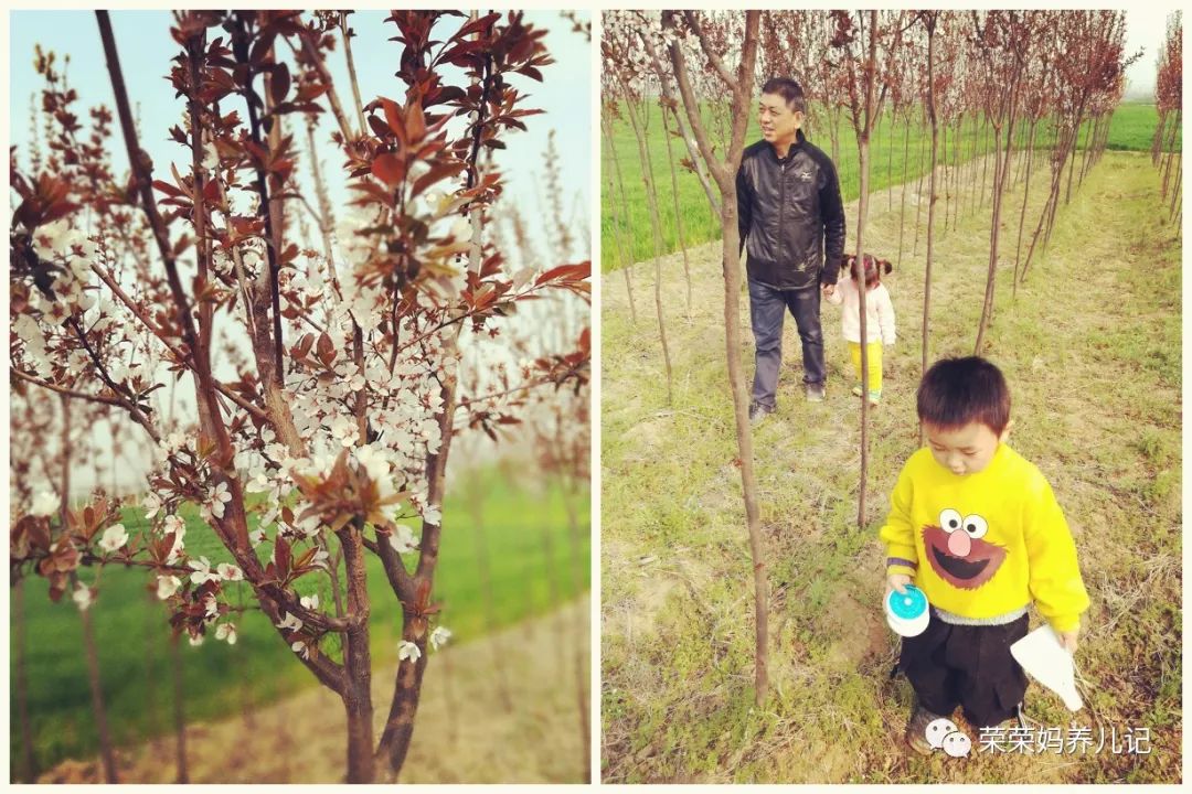 春暖花开别人出去春游,春暖花开溜娃的好地方