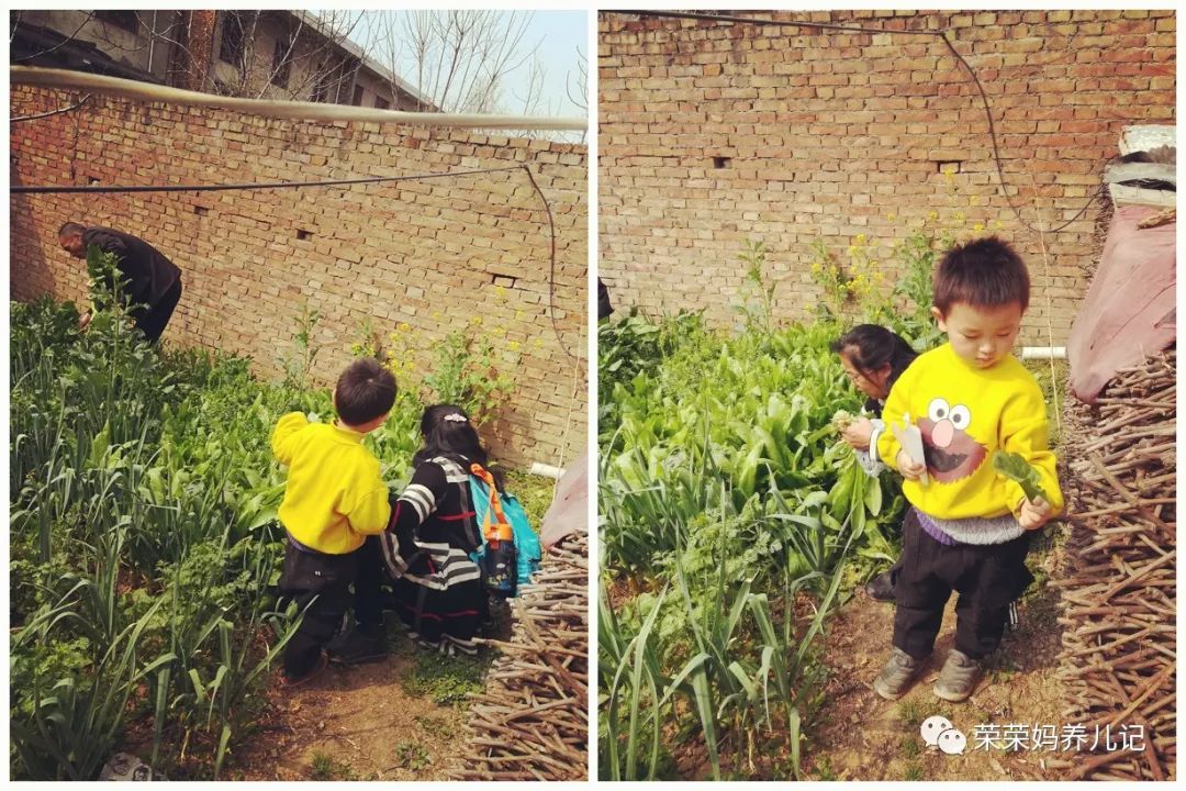 春暖花开别人出去春游,春暖花开溜娃的好地方