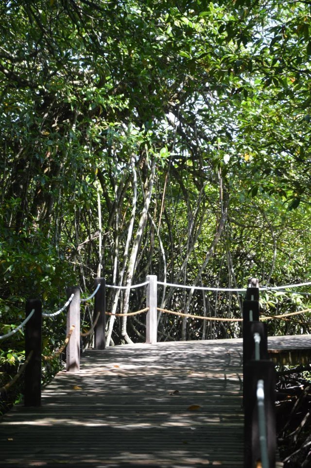 很少人知道的海岛国家！帕劳