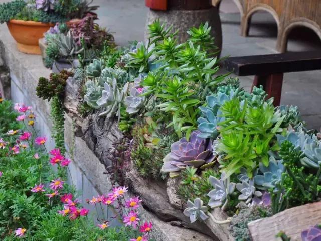 春来花自青秋至叶飘零原文解释,春来花自青秋至叶飘零出自哪里