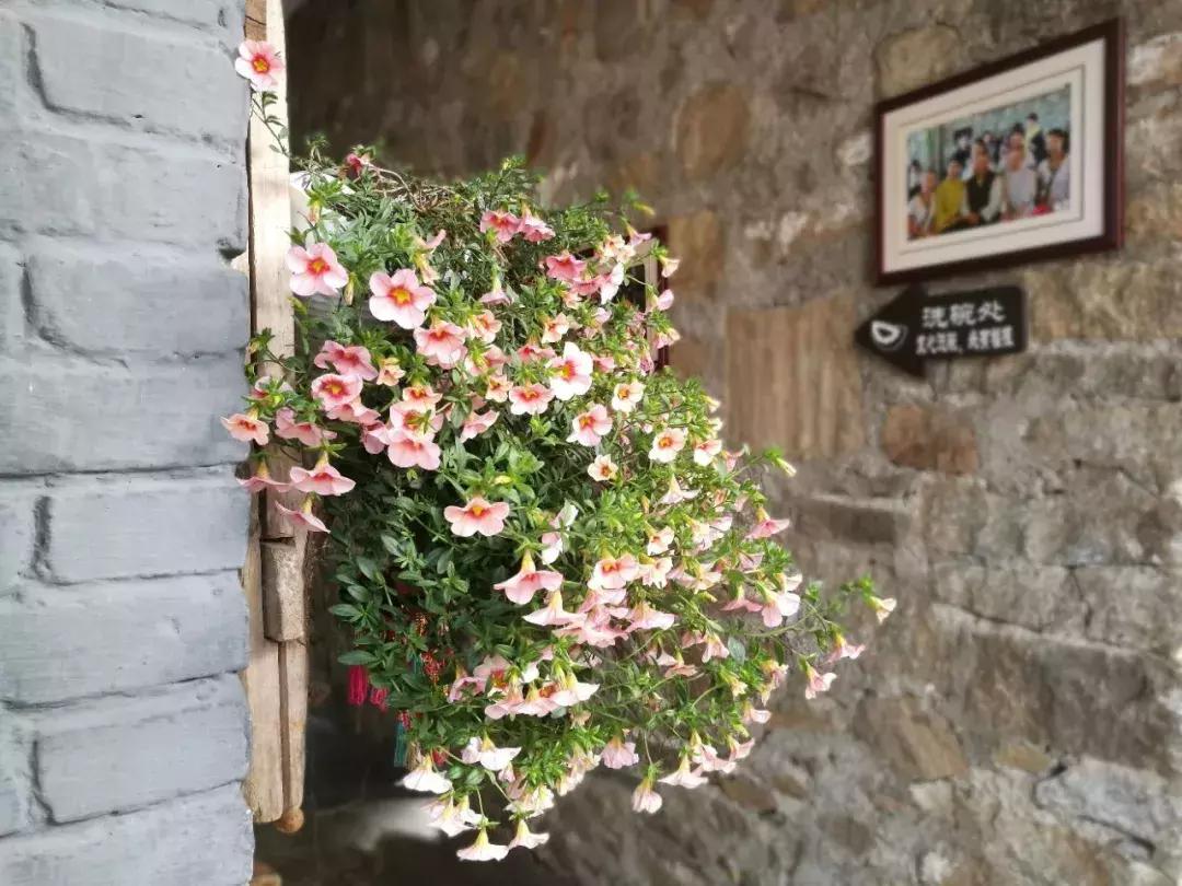 春来花自青秋至叶飘零原文解释,春来花自青秋至叶飘零出自哪里