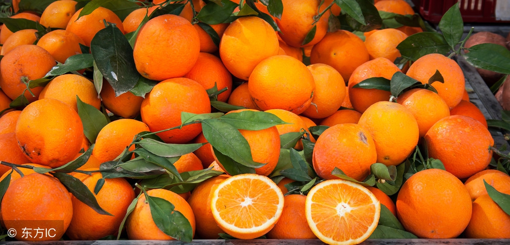 农村电商农业合作社新模式,农产品的商业模式与创新思维心得