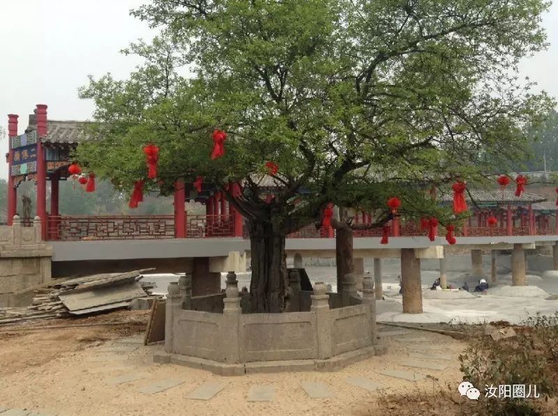 您好，我是汝阳，向全世界发出邀请……