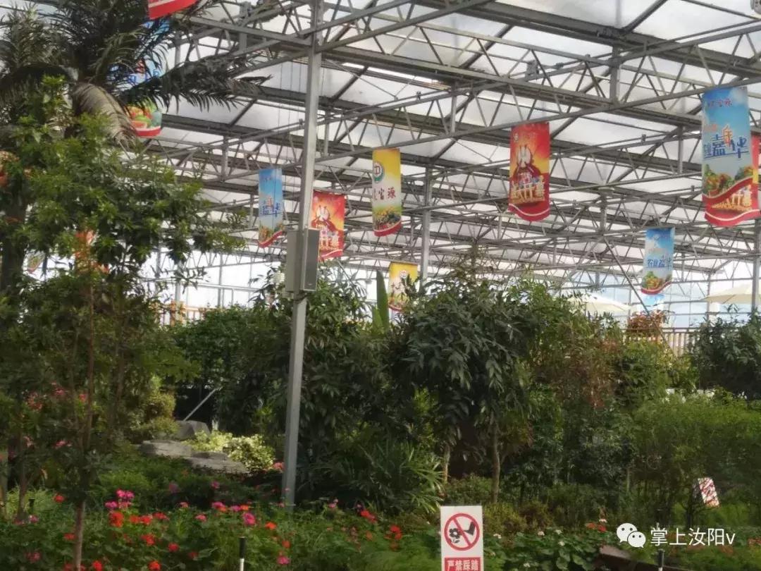 您好，我是汝阳，向全世界发出邀请……