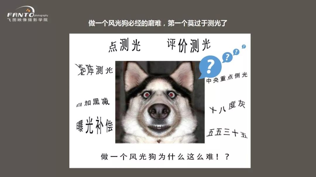 测光拍照技巧,拍照时怎么调节测光