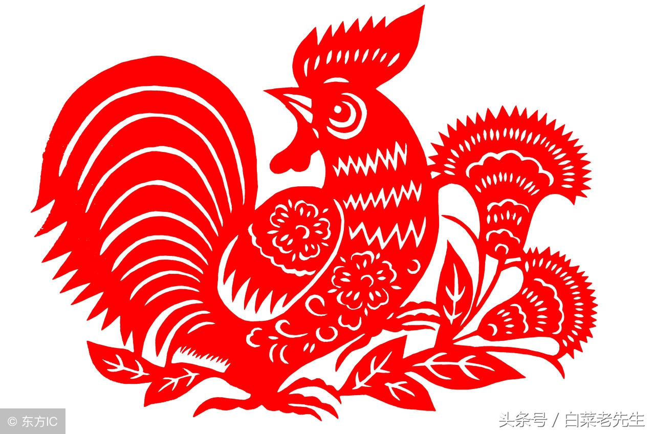 梦见出现12生肖的样子,梦见十二生肖分别代表着什么