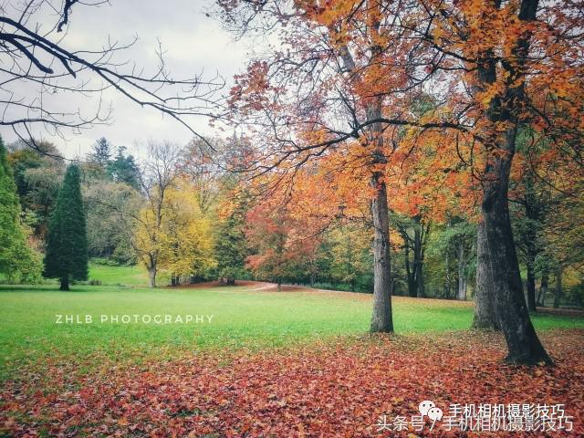 奥地利百年城堡,奥地利600年古堡