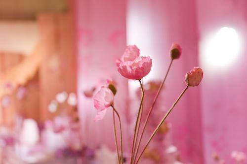 “圈子定律”邂逅相遇，适我愿兮，是你吗？